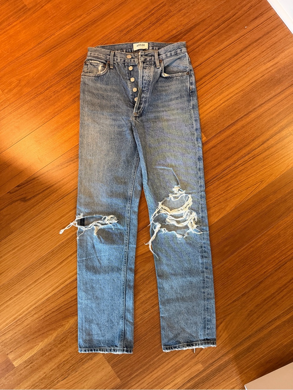 Agolde 90s Pinch Waist Jean in Backdrop